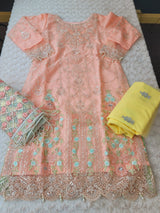 Pakistani Stitched Embroidery Party Wear Dresses Ready To Ship