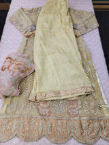 Pakistani Stitched Embroidery Party Wear Dresses Ready To Ship