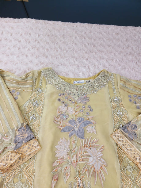 Pakistani Stitched Embroidery Party Wear Dresses Ready To Ship