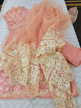 Pakistani Stitched Embroidery Party Wear Dresses Ready To Ship