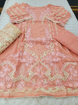 Pakistani Stitched Embroidery Party Wear Dresses Ready To Ship