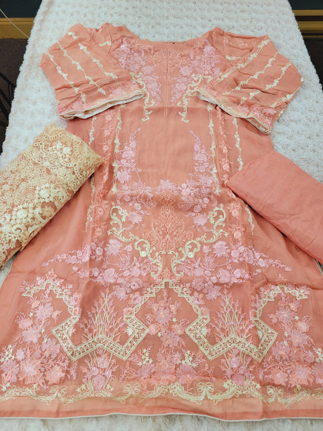 Pakistani Stitched Embroidery Party Wear Dresses Ready To Ship