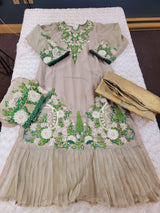 Pakistani Stitched Embroidery Party Wear Dresses Ready To Ship