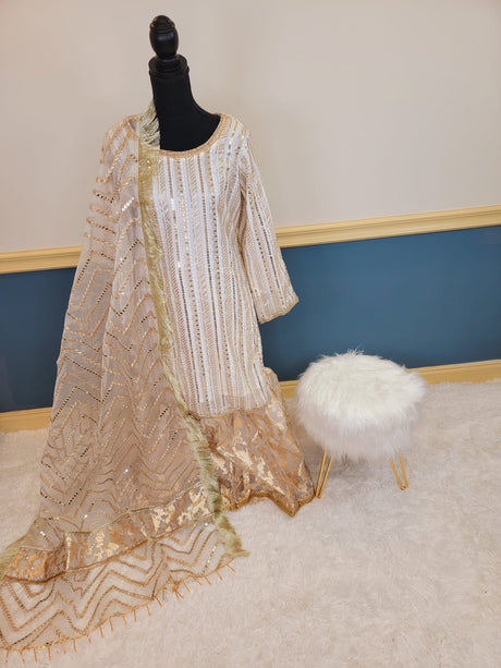 Pakistani boutique collection