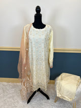 Pakistani Embroidered Party wear  Ready To Ship