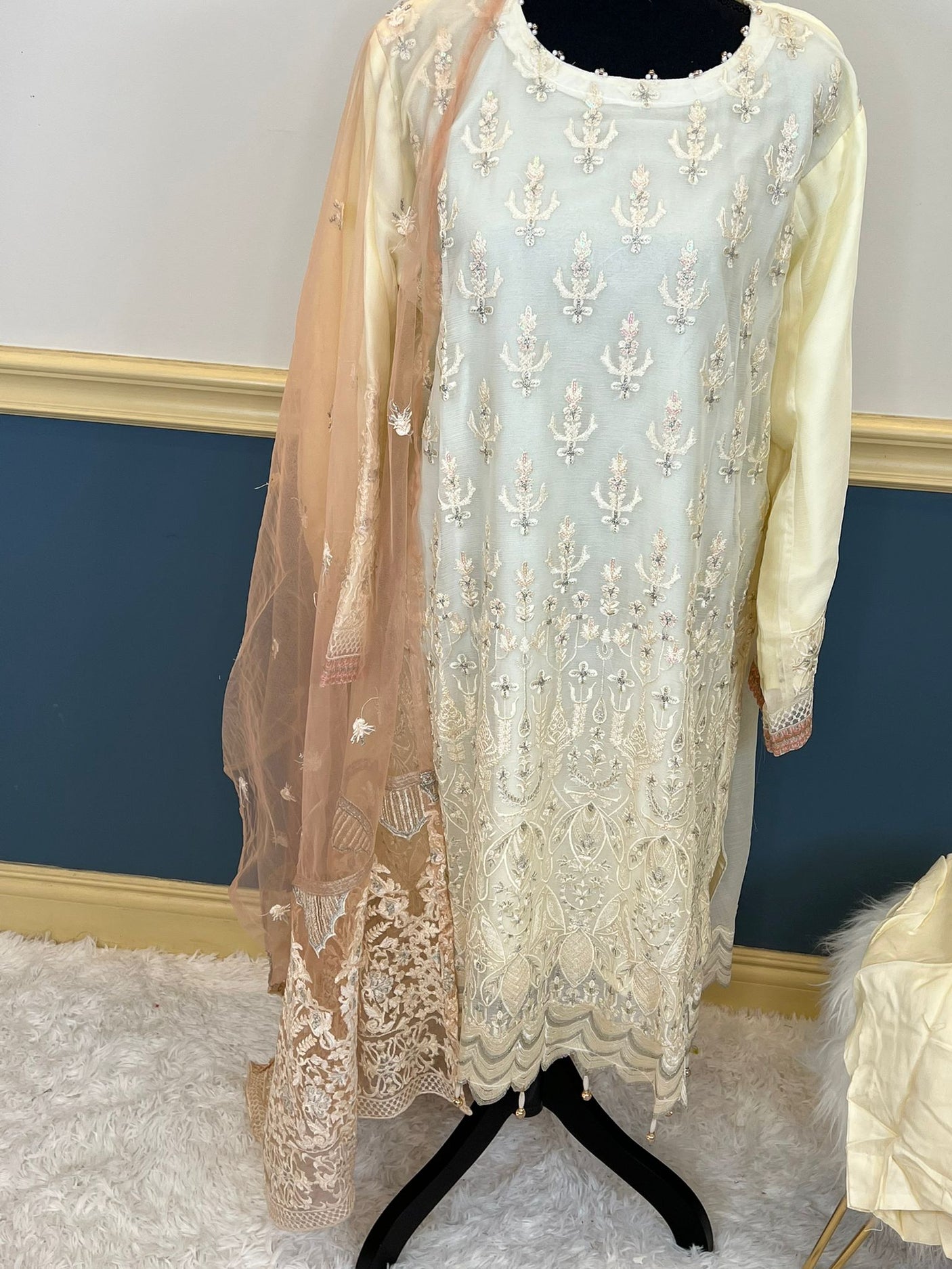 Pakistani Embroidered Party wear  Ready To Ship