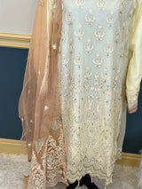 Pakistani Embroidered Party wear  Ready To Ship