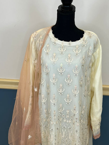 Pakistani Embroidered Party wear  Ready To Ship