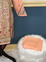 Pakistani Embroidered Party wear  Ready To Ship