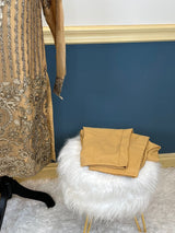 Pakistani Embroidered Party wear  Ready To Ship