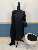 Pakistani Embroidered Party wear  Ready To Ship
