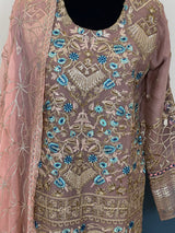 Pakistani Embroidered Party wear  Ready To Ship