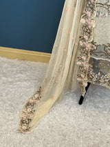 Pakistani Embroidered Party wear  Ready To Ship