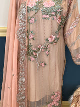 Pakistani Embroidered Party wear  Ready To Ship