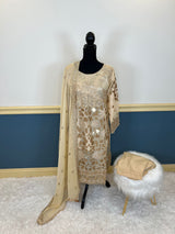 Pakistani Embroidered Party wear  Ready To Ship