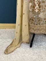 Pakistani Embroidered Party wear  Ready To Ship