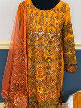 Pakistani Embroidered Party wear  Ready To Ship