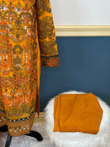 Pakistani Embroidered Party wear  Ready To Ship