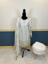 Pakistani Embroidered Party wear  Ready To Ship