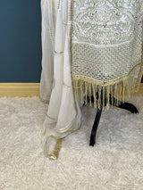 Pakistani Embroidered Party wear  Ready To Ship