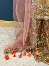 Pakistani Embroidered Party wear  Ready To Ship