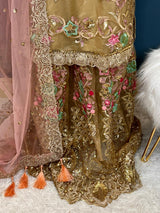 Pakistani Embroidered Party wear  Ready To Ship