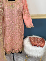 Pakistani Embroidered Party wear Ready To Ship