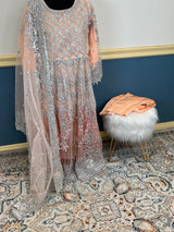 Pakistani Embroidered Luxury Party wear Ready To Ship