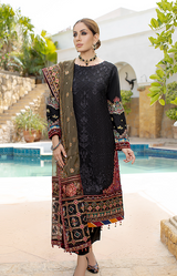 New Fancy Chiffon Collection 2022