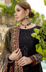 New Fancy Chiffon Collection 2022