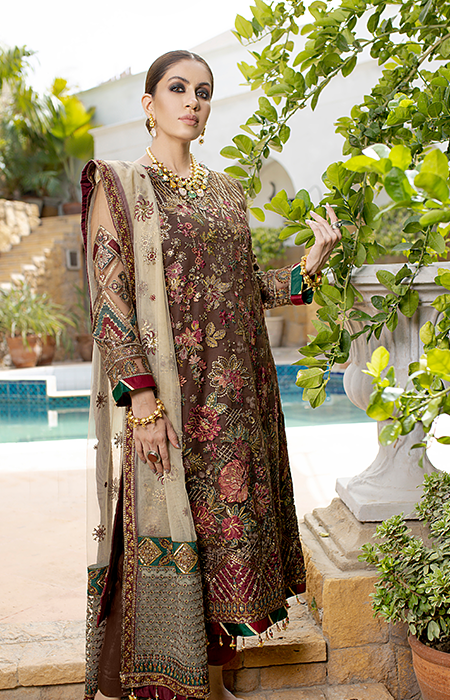 New Fancy Chiffon Collection 2022