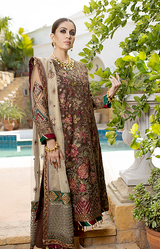New Fancy Chiffon Collection 2022