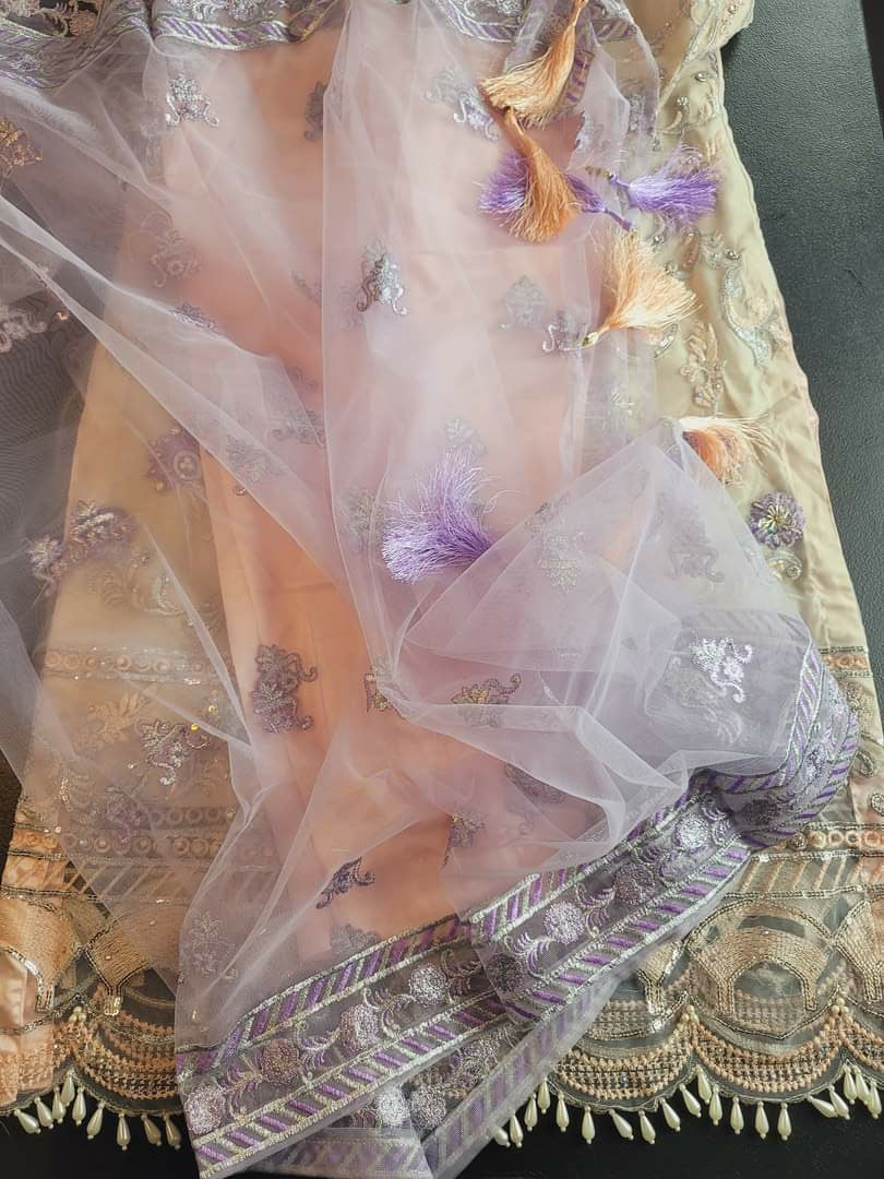 Pakistani Stitched Embroidery Party Wear Dresses Ready To Ship