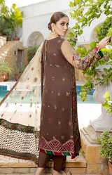 New Fancy Chiffon Collection 2022