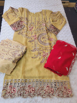 Pakistani Embroidered Party wear  Ready To Ship