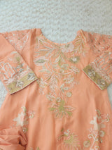 Pakistani Embroidered Party wear  Ready To Ship