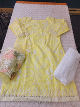 Pakistani Embroidered Party wear  Ready To Ship