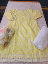 Pakistani Embroidered Party wear  Ready To Ship