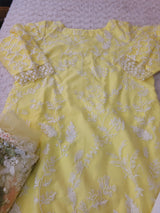 Pakistani Embroidered Party wear  Ready To Ship