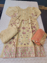 Pakistani Embroidered Party wear  Ready To Ship