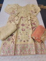 Pakistani Embroidered Party wear  Ready To Ship