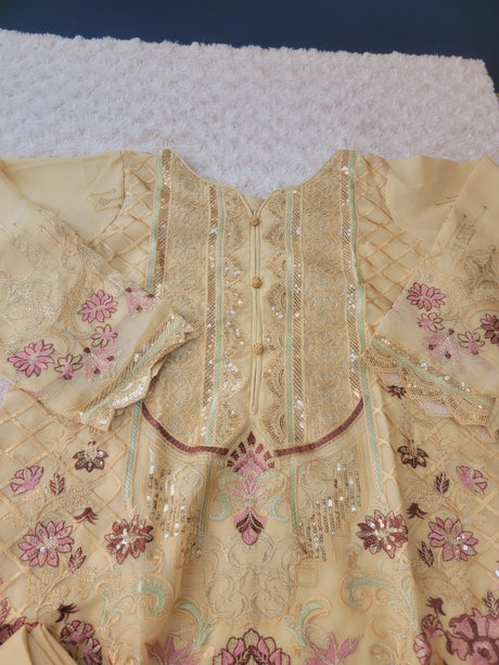 Pakistani Embroidered Party wear  Ready To Ship