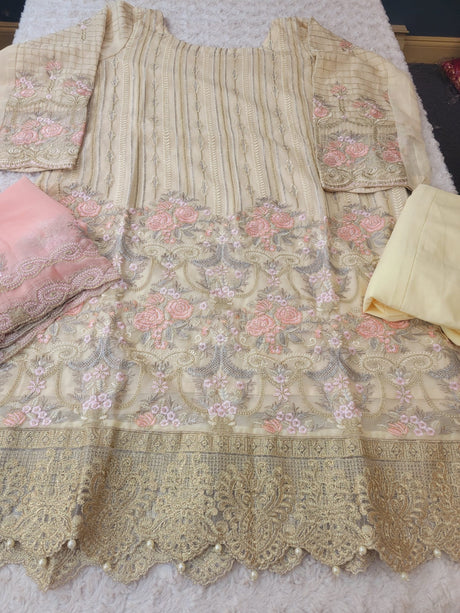 Pakistani Embroidered Party wear  Ready To Ship