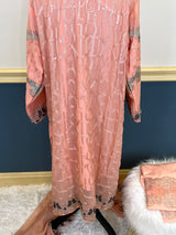 Pakistani Embroidered Party wear  Ready To Ship