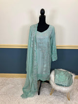 Pakistani Embroidered Party wear  Ready To Ship