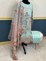 Pakistani Embroidered Party wear  Ready To Ship