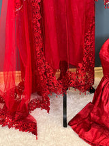 Pakistani Embroidered Party wear Ready To Ship