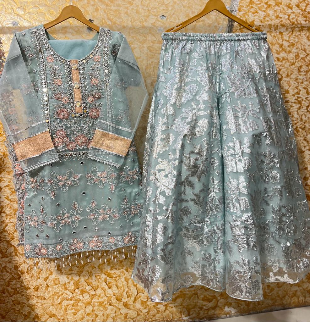 Beautiful branded mirror stitch Paul work beautiful tassels back front work organza shirt  Beautiful embroidered Net dupeta Banarsi Sharara