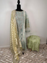 Pakistani Embroidered Party wear  Ready To Ship