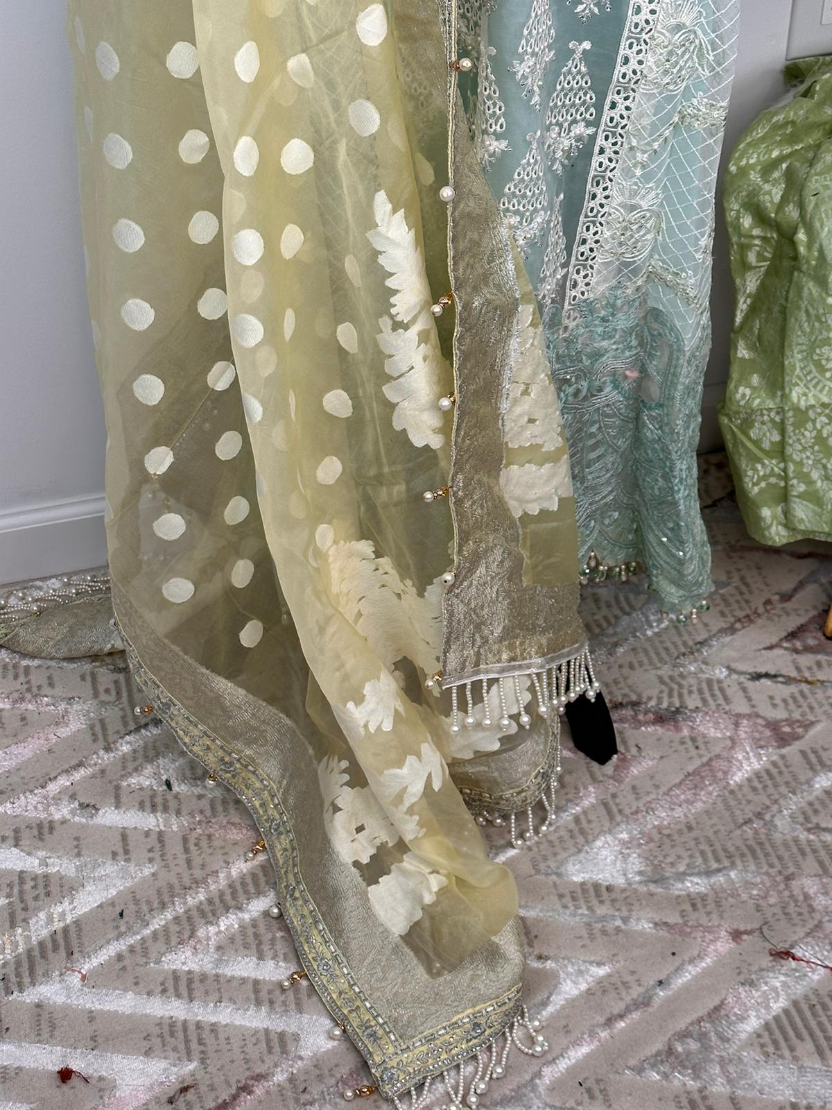 Pakistani Embroidered Party wear  Ready To Ship